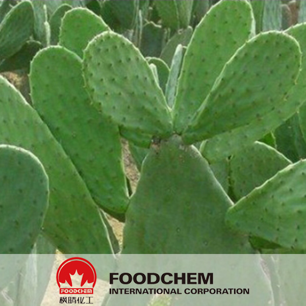 Cactus Extract